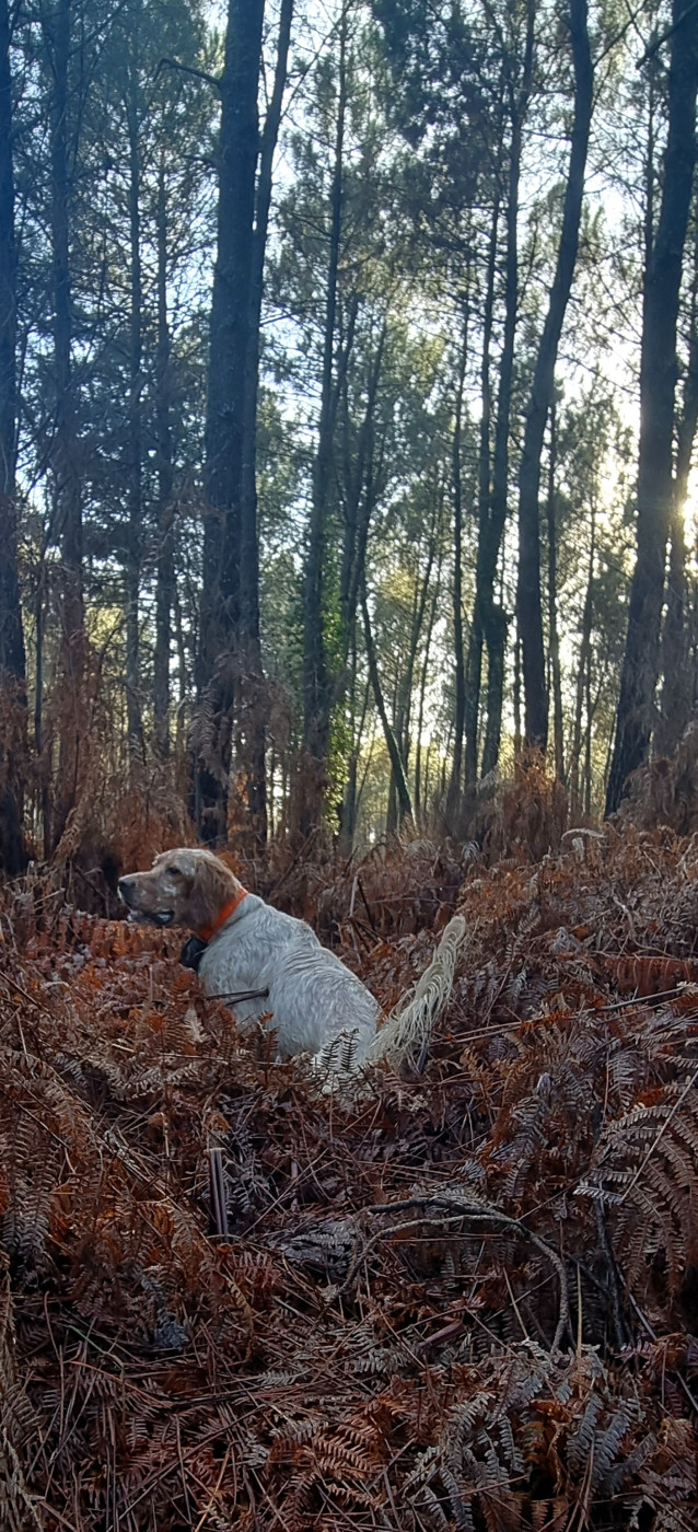 Uzin Des Pentes De La Mordoree